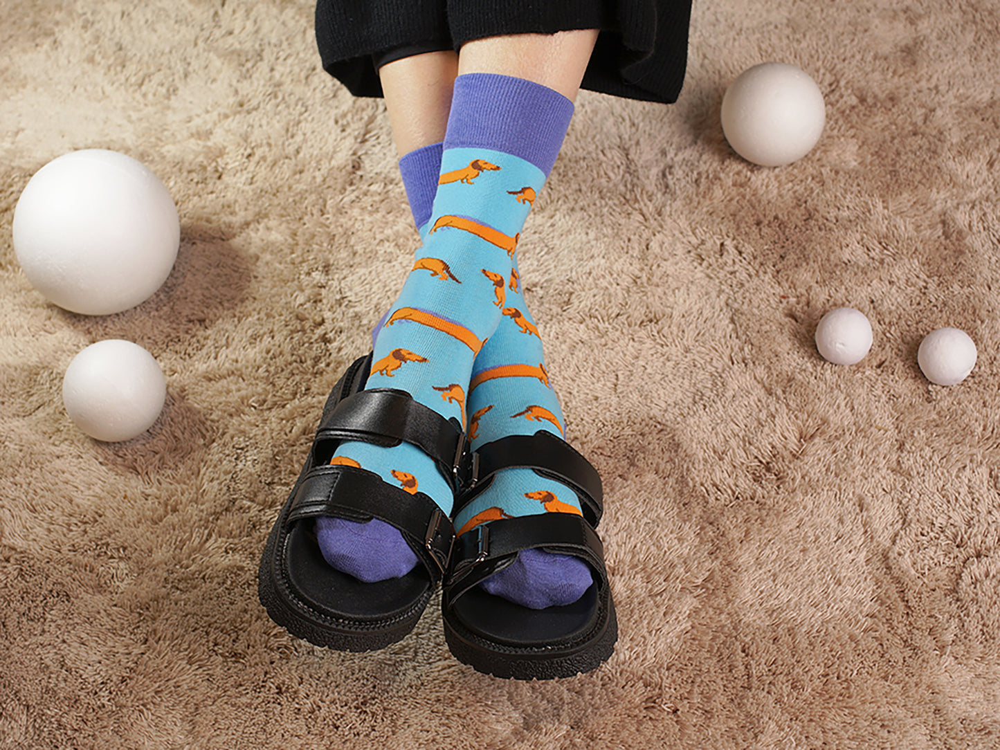 Dachshund socks