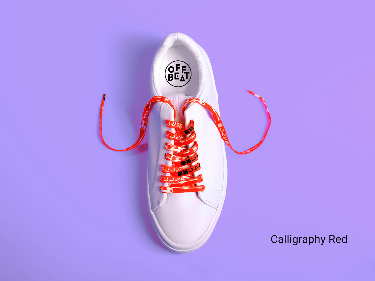 Calligraphy shoelaces