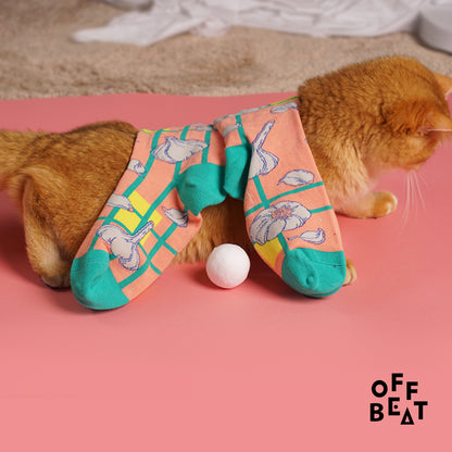 Garlic socks