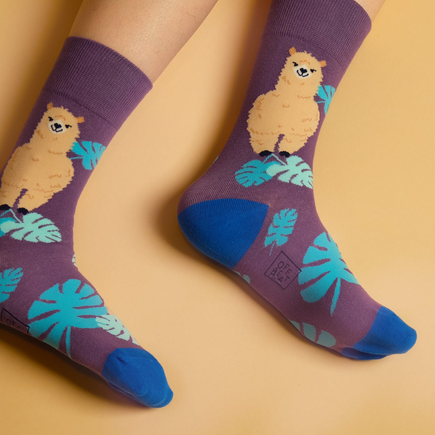 Llama socks