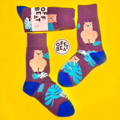 Llama socks