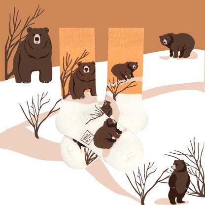 Braun Bear Box, Gift Box