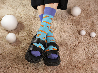 Dachshund socks