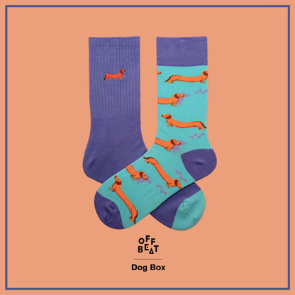 Dog Box, Gift Box